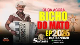 NILTON SANFONEIRO - EP BICHO DO MATO - 2026