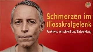 Schmerzen im Iliosakralgelenk: Funktion, Verschlei&szlig; und Entz&uuml;ndung