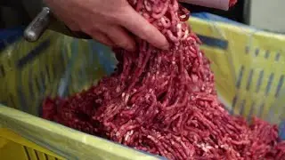 Fair Go compares fat content in beef mince from six different Auckland stores