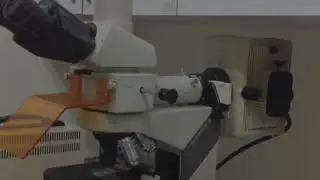 MICROSCOPIA DE FLUORESCÊNCIA Aula 6.9
