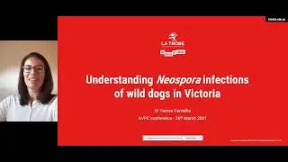 Dr Teresa Carvalho | Understanding neospora infections of wild dogs in Victoria