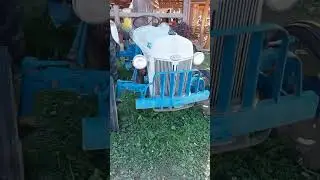Look at this truck at Fenders Farm in TN #pumpkin #halloween #viral #shorts