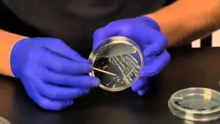 Instructional Video - Proof Plate Techniques