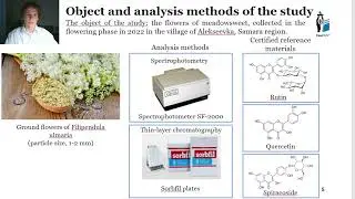 PROSPECTS OF USING OF FLOWERS OF FILIPENDULA ULMARIA