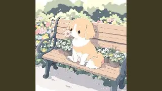 キャンディサファロ