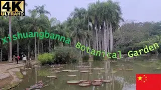 Xishuangbanna Botanical Garden