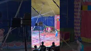 Acrobatic Skills Display #entertainment 👌 #circus #video #healthylifestyle 💚 #tourism