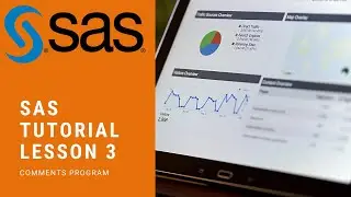 SAS Tutorial Comments
