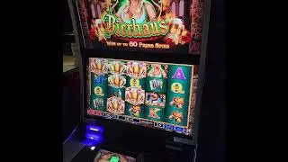 Bierhaus - 40 Bonus Spins