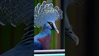Sora from OpenAI, the ultimate Text to Video Generator #shorts