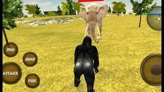 Gorilla Simulator | Apes Jungle Survival Missions - Android GamePlay