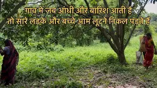 गांव में जब आंधी और बारिश आती है, तो सारे लड़के और बच्चे आम लूटने निकल पड़ते हैं