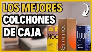 🏆 Los Mejores Colchones de Caja en 2025 (en M&eacute;xico)