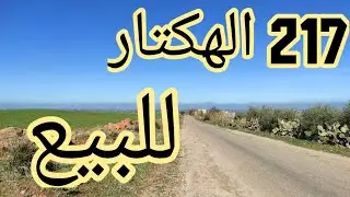 217 Hectares Terrains agricoles Meknès A vendre |  فرصة للإستثمار بالمجال #الفلاحي