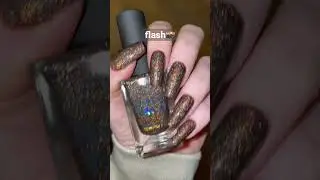 The most delightful mocha shade☕️ Need I Say Mocha? In different lighting✨ Holo Taco