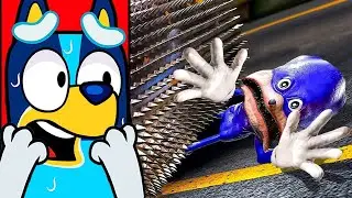 BLUEY RÉAGIT à SONIC TAPES se FAIRE DÉCHIQUETER Animation !