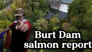 Burt Dam salmon fishing Report #3