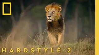 Nat Geo x HARDSTYLE 2 &nbsp;- Fred again.., KETTAMA, Shady Nasty