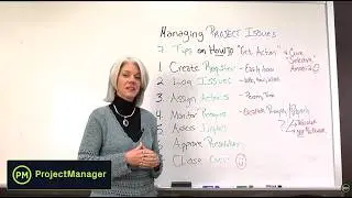 Project Management: How to Manage Project Issues