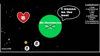 Agario OMG First Place Thx 8
