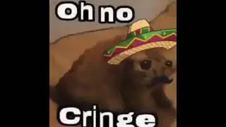 based cat