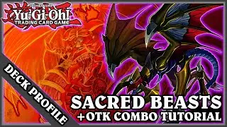 Yu-Gi-Oh! TCG &mdash; Профиль колоды &laquo;Священные звери&raquo; + Руководство по комбинации из 1,5 карт OTK! &mdash; Май 2021 г.