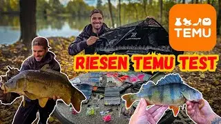 Temu fishing tackle review! Unboxing and practical test! Carp, finesse and sea fishing