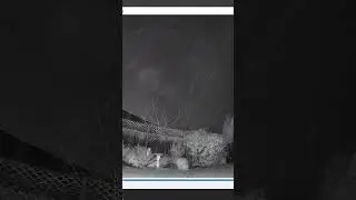 Streak of light that looks like it's high in sky turning watch the full clip to find out what it is