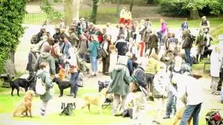 50 Jahre Deutscher Retriever Club - Jubil&auml;ums Workingtest und Ausstellung Teil 2