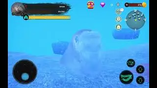 Vida de um Elefante Marinho