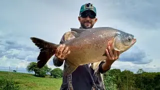 CARANHA REBOCOU O CAIAQUE.  #pesca #pescaria #pescacomestilingue #pescador #estilingue