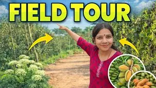 OUR FIELD TOUR🏡🚜 || Vlog 22 #shorts #vlog #viral