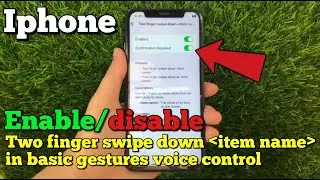 How to enable or disable two finger swipe down item name in basic gestures voice control on iPhone X