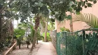 Puerto Adventuras Beach club