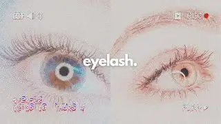 Eyelash Serum // ❣ Long, Pretty Eyelashes ❣ Affirmations + Frequency