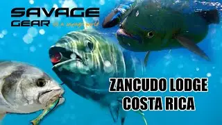 Savage Gear Offshore Fishing in Costa Rica | Zancudo Lodge