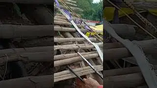 indian spectacled cobra rescue