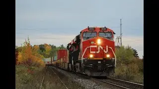 FALL COLOURS! CN Freight Trains on the York Subdivision