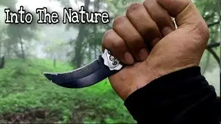 High Into The Nature  - By UnRoof ExploRers