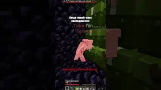 ip:kaydo.spookytime.net  #minecraft #memes #мем #мем #piona #fyp #shorts