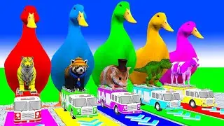 5 Giant Duck Cartoon,Cow,Elephant,Tiger,Lion,Dinosaur,Paint Wild Animals Crossing Fountain Animation
