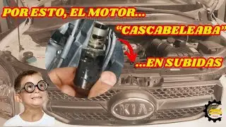 MOTOR CON 