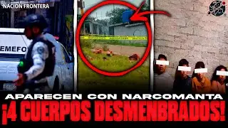 🔴 &ldquo;MENSAJE DE LOS ARDILLOS: 4 cuerpos desmembrados aparecen con narcomanta en Guerrero&rdquo;