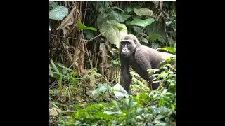 What Is Conservation Travel? | Travel That Actually Makes a Difference