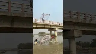 big fish catch by castnet fishing #shorts #fishingvideo #fishinglife #bigfish #funny #riverfishing