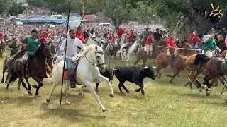 La Saca 2024 Extra