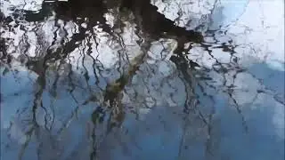 Free Stock Footage   4k Videos   No Copyright Videos   Water Reflection Ripple Motion Background