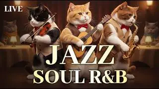 Jazz Soul R&B Instrumental – Music from Cat's Band for Relaxation, Focus & Work | Jazz Meowlody