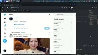 Twitter Automated Software - Marketing tool in C#.