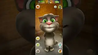 Dudi Dudi dam dam #cat #funny #catlover #cute #cutecat #shortsfeed #trending #comedy